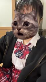 待機っ💓