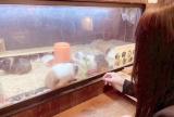 ここにいるよ💭🙌✨